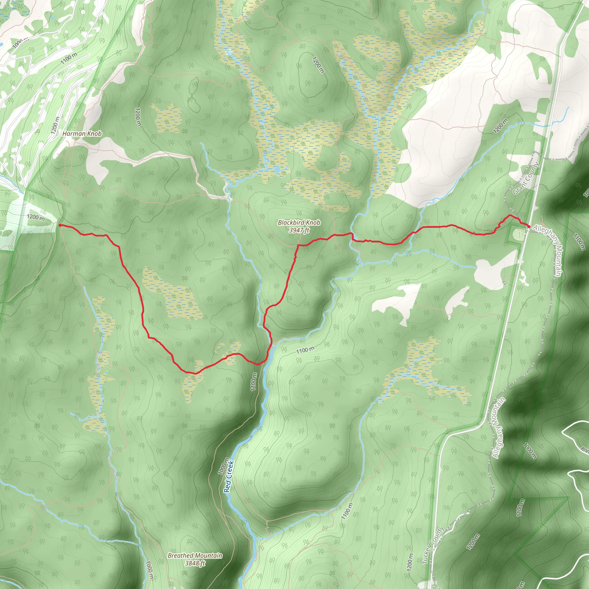 Blackbird Knob from Dolly Sods Road mobile static map