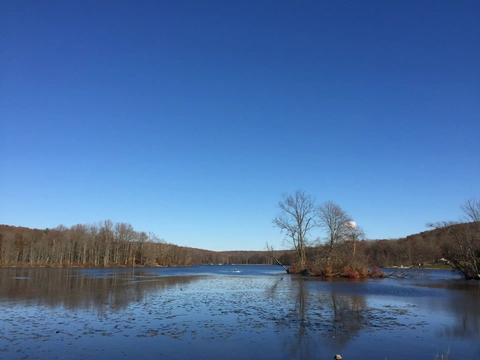 Boone Trail via Scott Run Lake