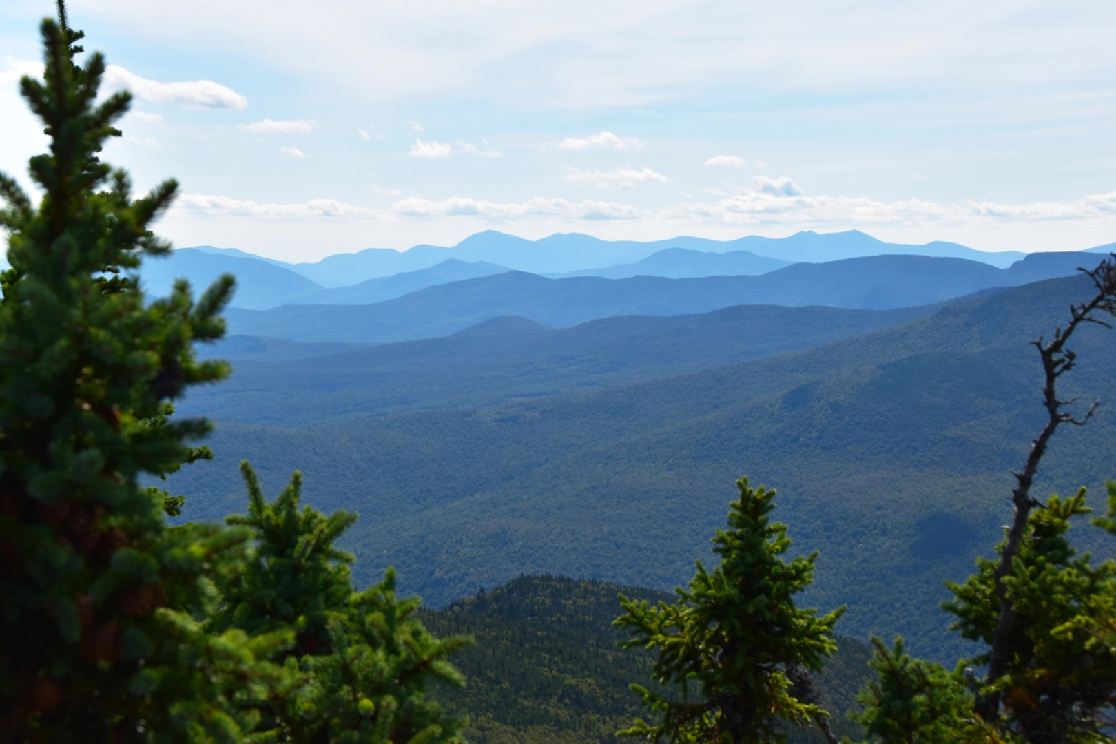 An image depicting the trail Thompson Falls Trail and its surrounding area.