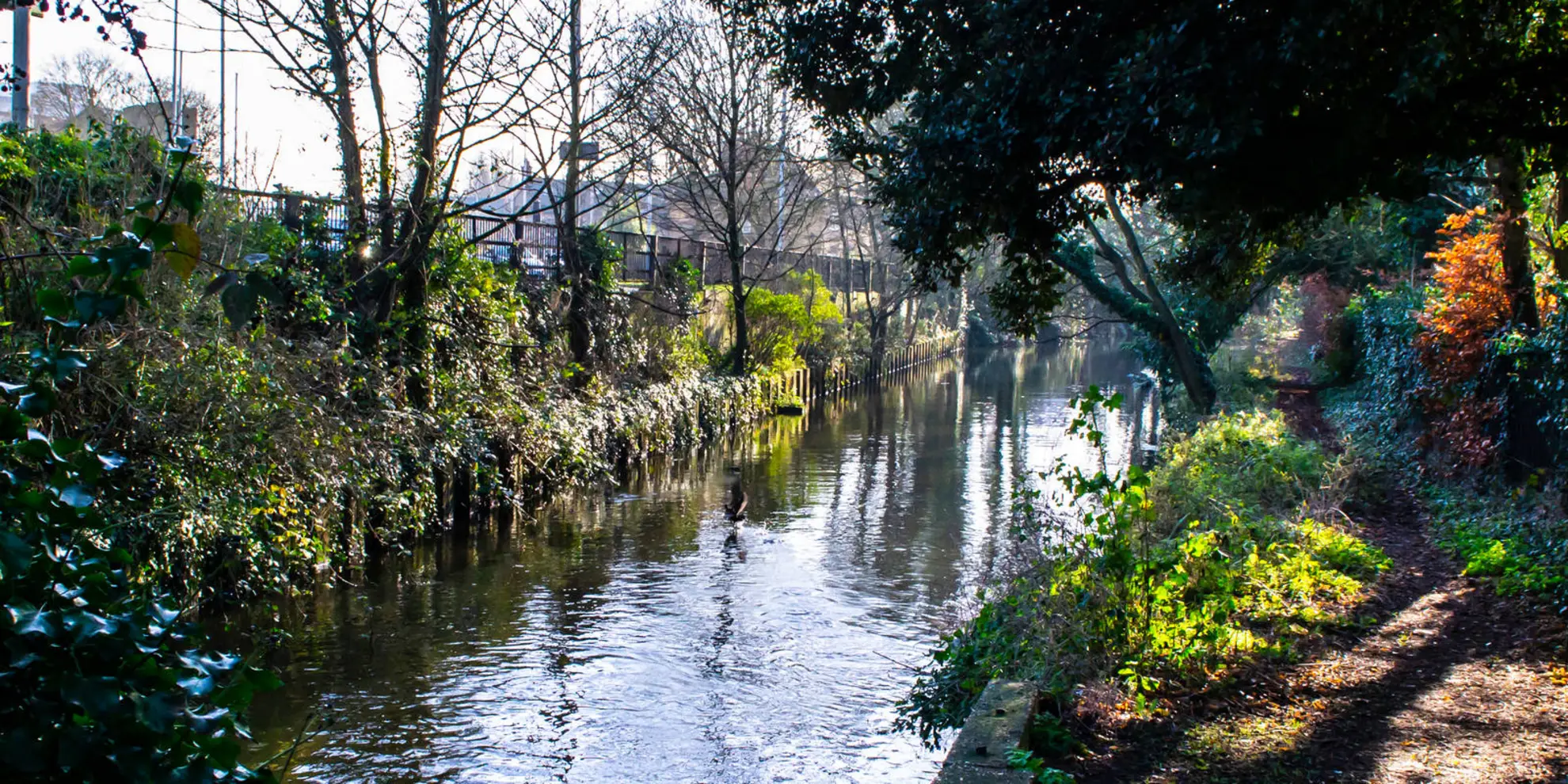 An image depicting the trail Denham Circular and its surrounding area.