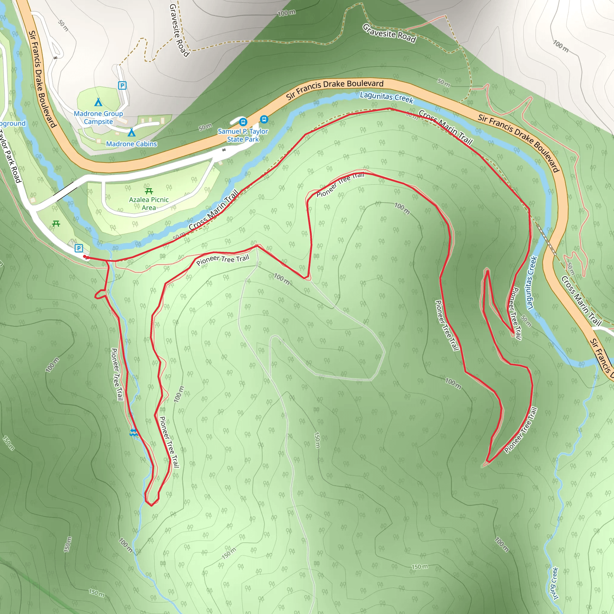 Pioneer Tree Trail Loop mobile static map