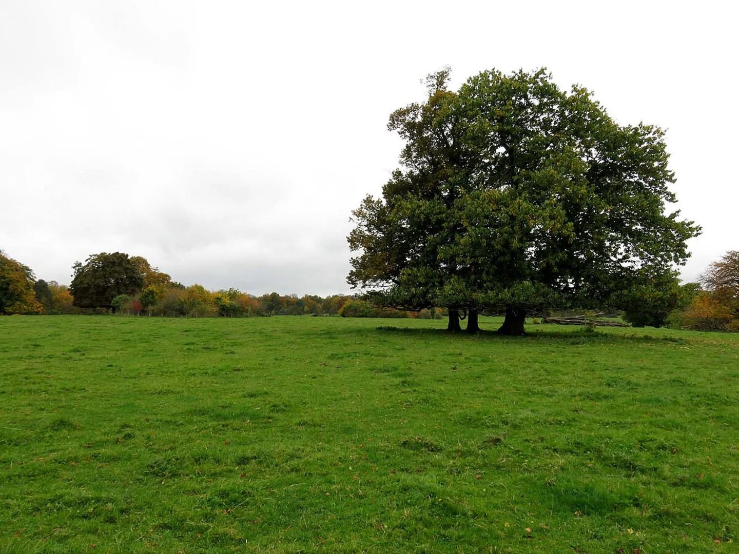 An image depicting the trail Basildon Park Walk and its surrounding area.