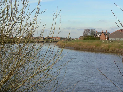 Owstonferry Loop
