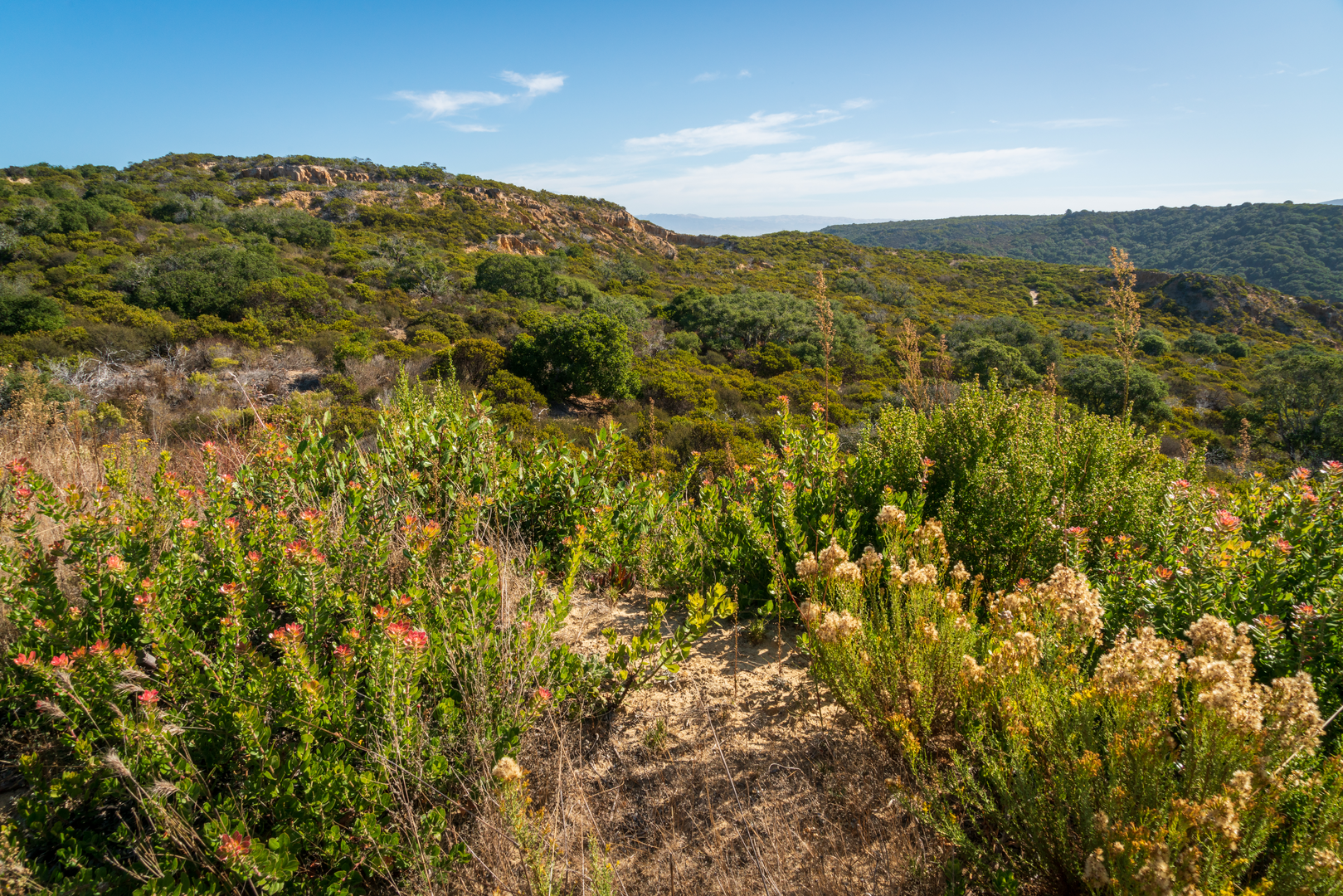 An image depicting the trail Sandy Ridge Road, Mudhen Lake and Leary Hill Loop and its surrounding area.
