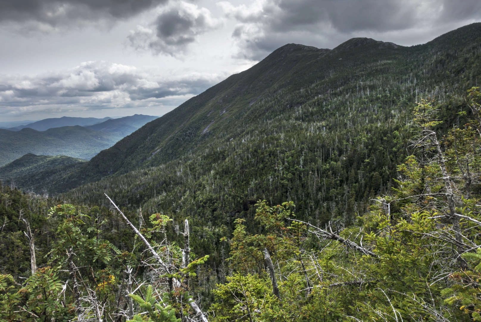An image depicting the trail Crater Dome - Wild River Trail and its surrounding area.