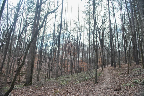 Picketts Mill Battlefield State Historical Site Loop