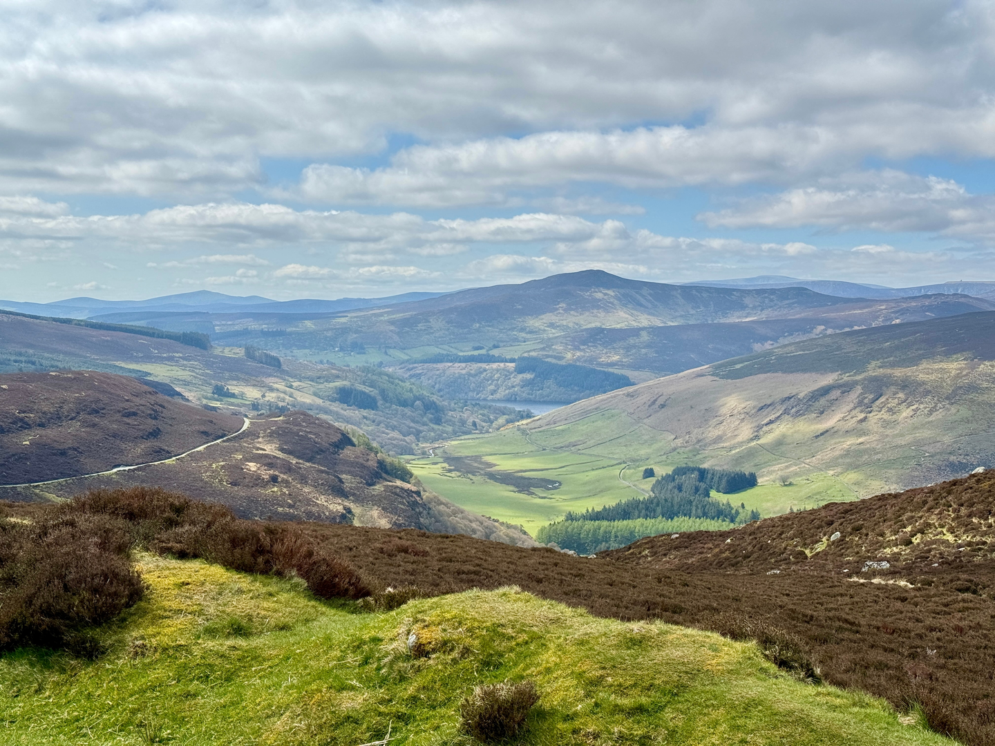 An image depicting the trail Ballinastoe Walking Trails – Sun and its surrounding area.