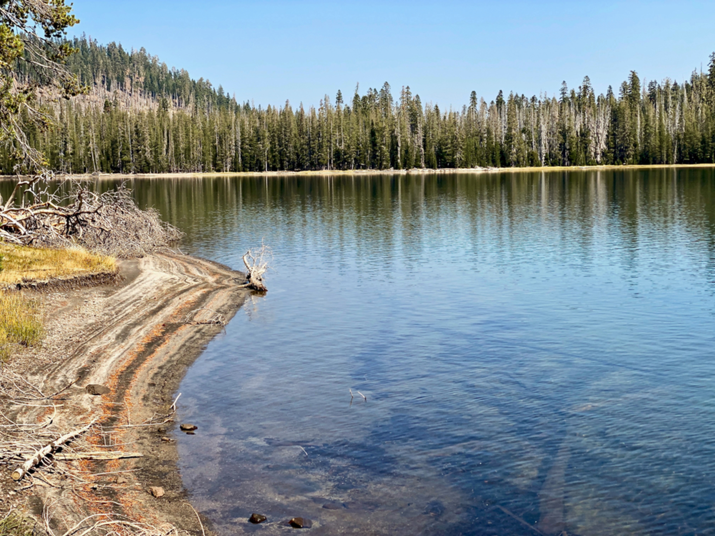 An image depicting the trail Bear Lakes Trail and its surrounding area.