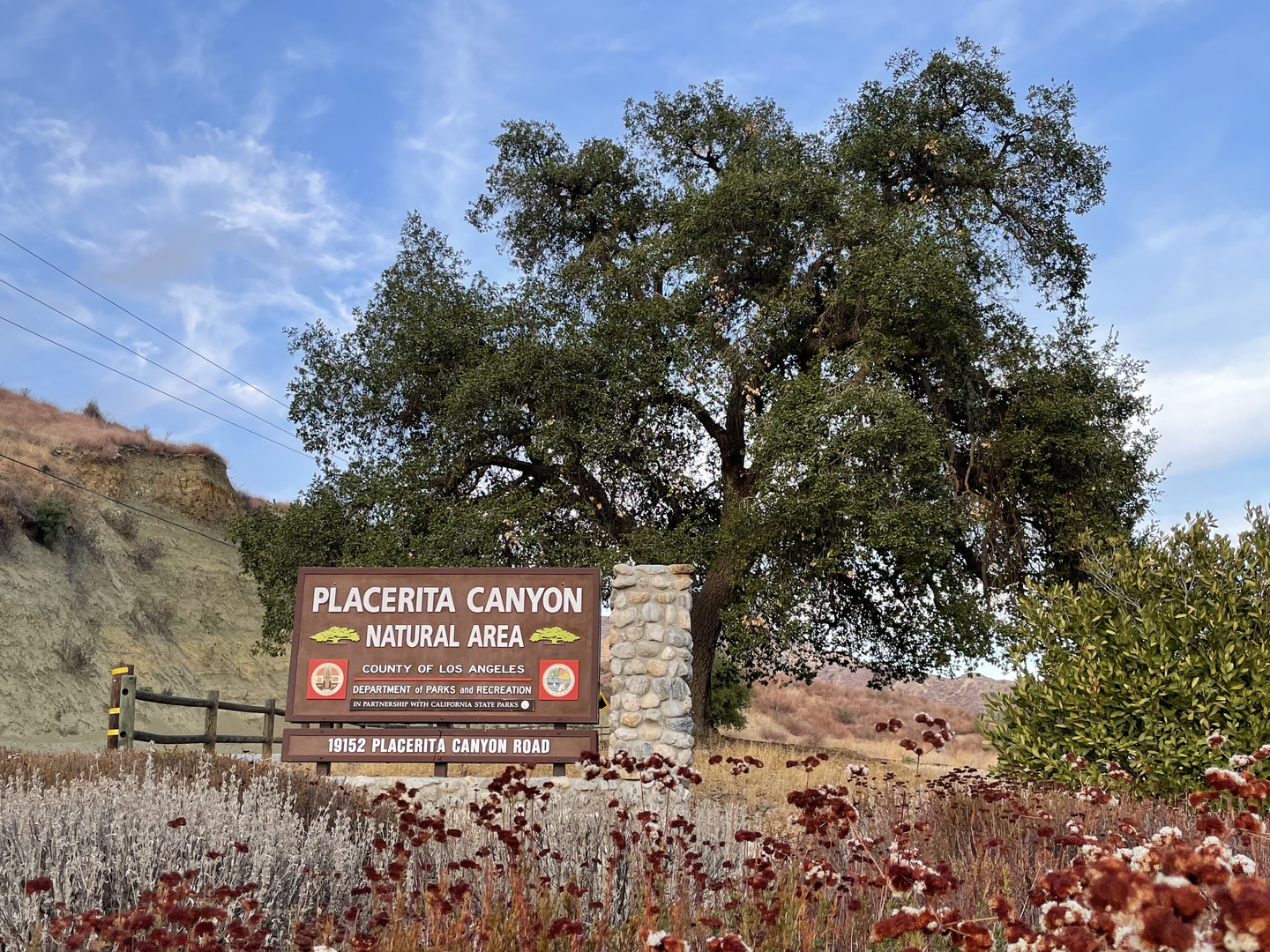 An image depicting the trail Viper, Wilson Canyon Saddle and Los Pinetos Trail Loop and its surrounding area.