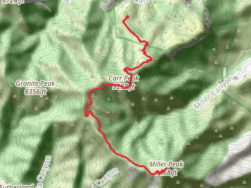 Miller Peak and Carr Peak Trail