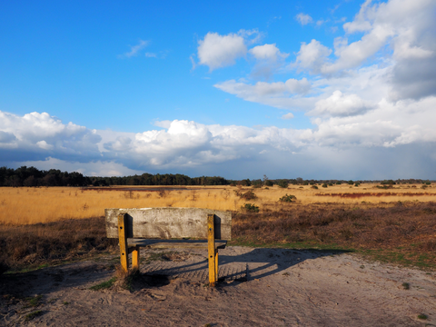 Achter t Heezerenbosch and De Oeffels Loop