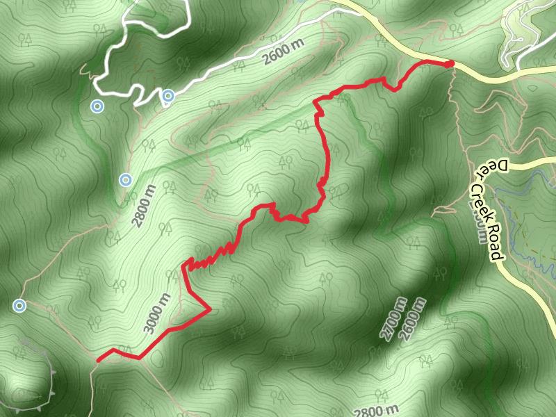 Charleston Peak Trail North Loop