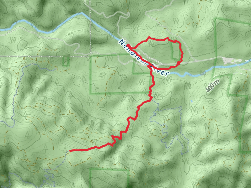 Gales Creek and Triple C Loop Trail