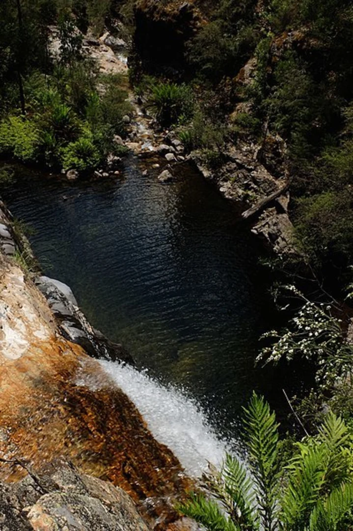 An image depicting the trail Rollasons Falls Walk and its surrounding area.