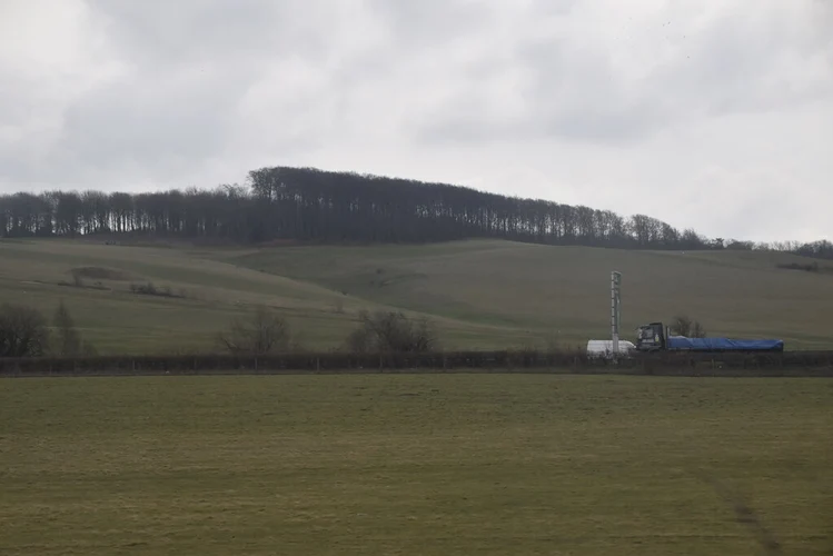 Royston to Therfield Loop