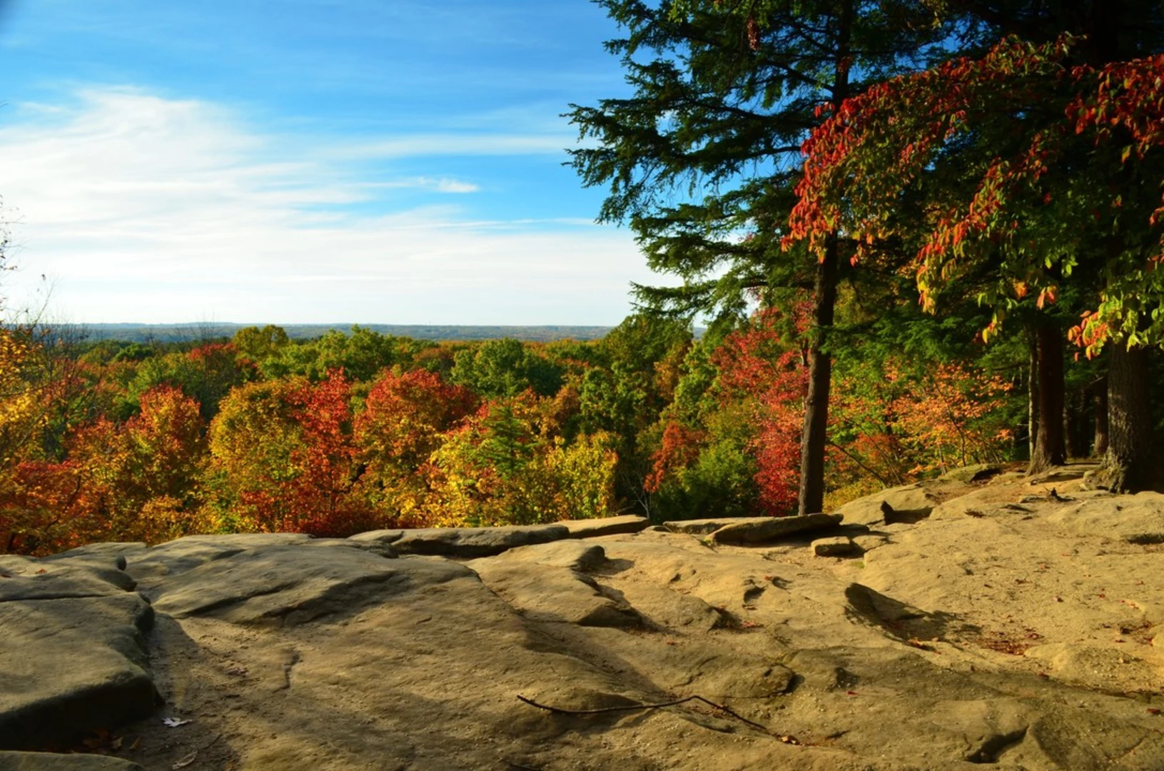 An image depicting the trail Forest Point Trail and its surrounding area.