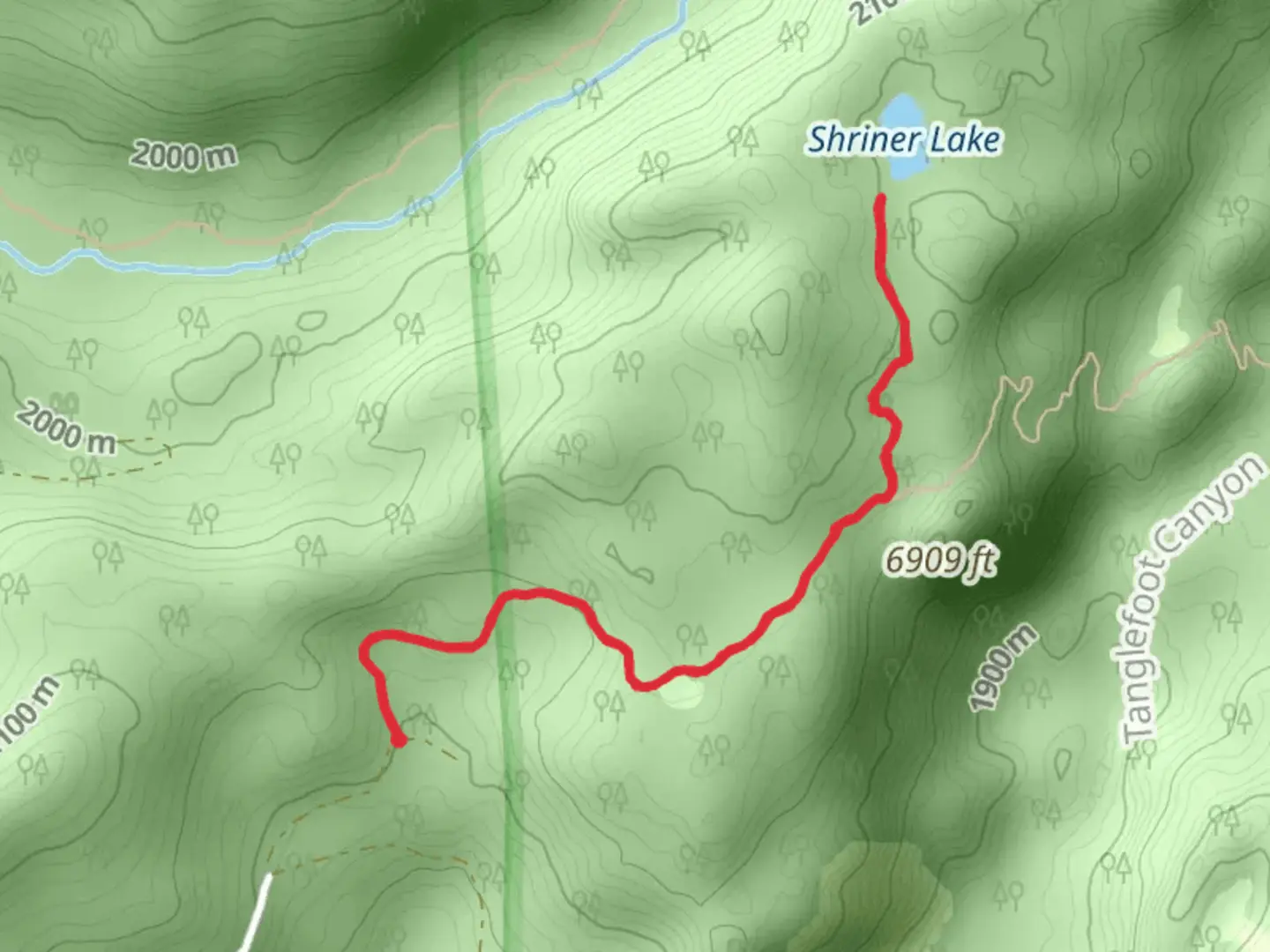An image depicting the trail Shriner Lake via Tanglefoot Trail and its surrounding area.