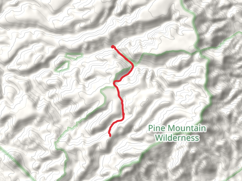 Pine Flat Trail