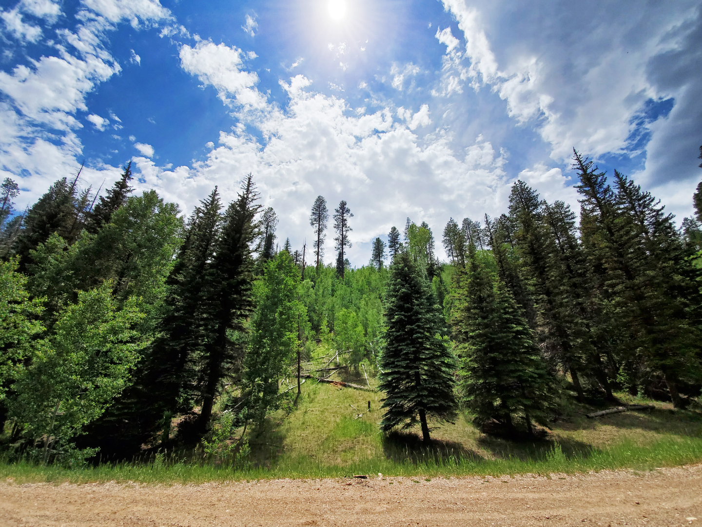 An image depicting the trail Arizona Trail and its surrounding area.