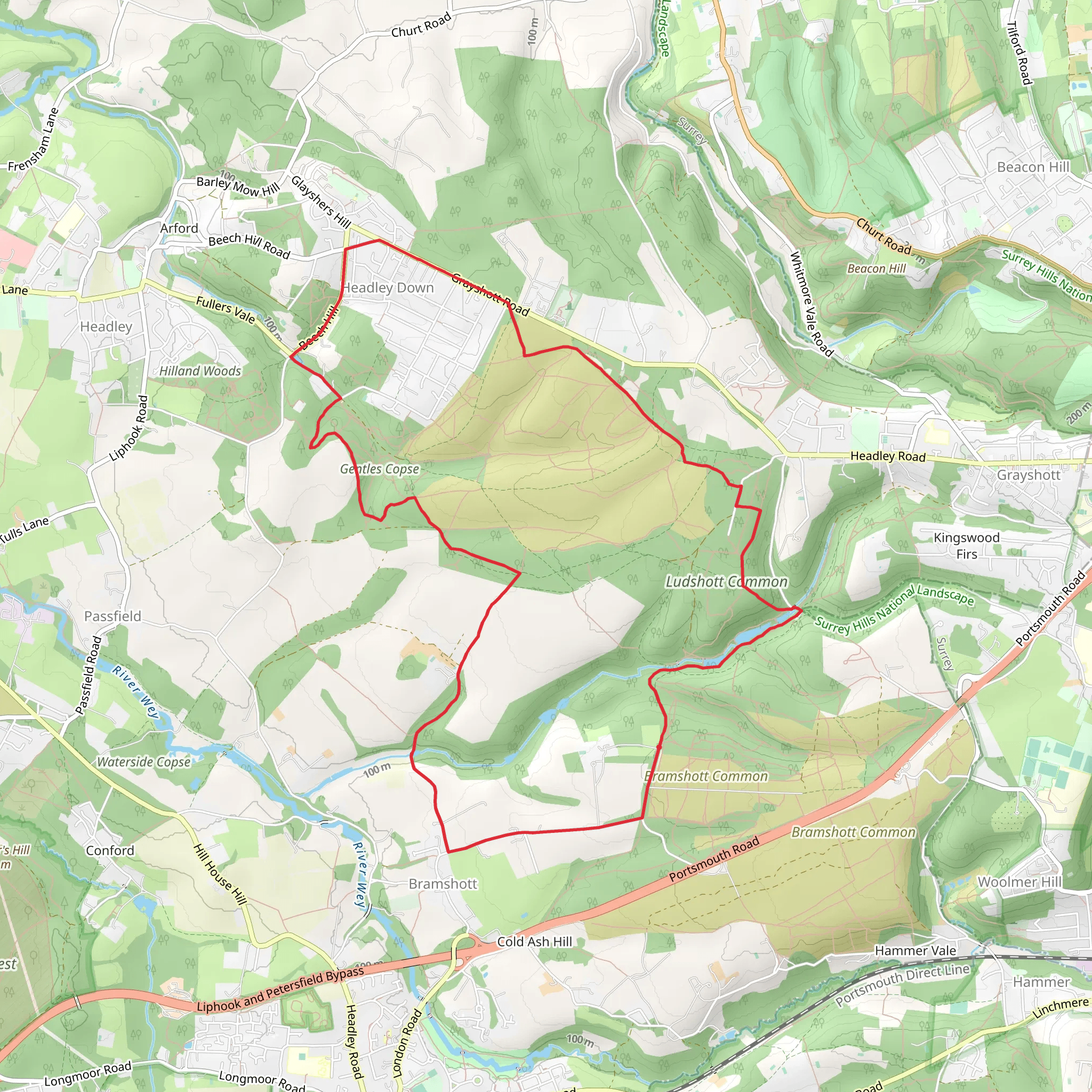 ludshott-common-and-headley-down-loop-hampshire-england