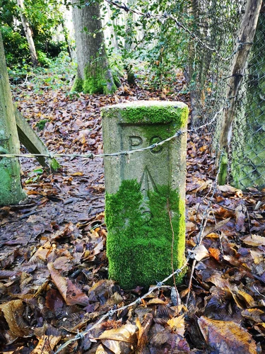 Hockley Woods and Gills Bench Loop