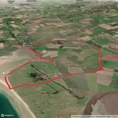 Budle Bay Hike