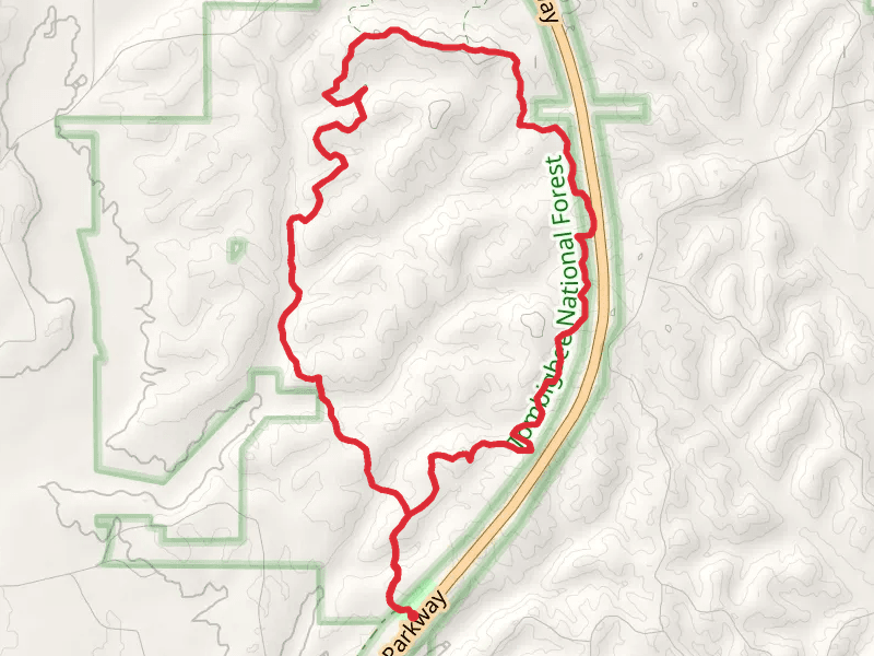 Witch Dance Loop Trail