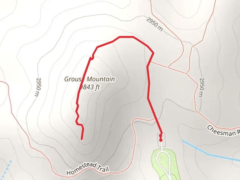 Grouse Mountain