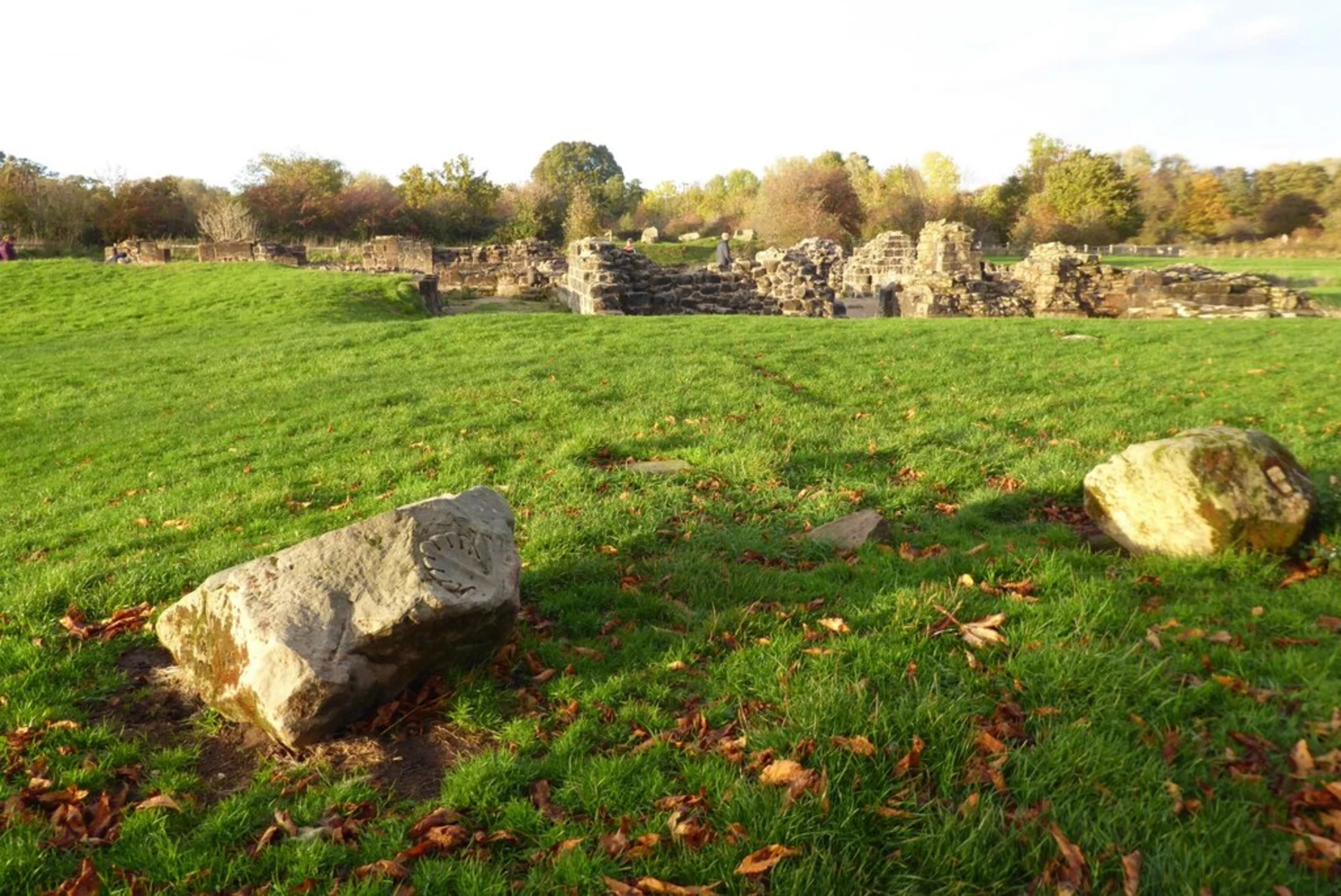 An image depicting the trail Abbey Meadows Loop and its surrounding area.