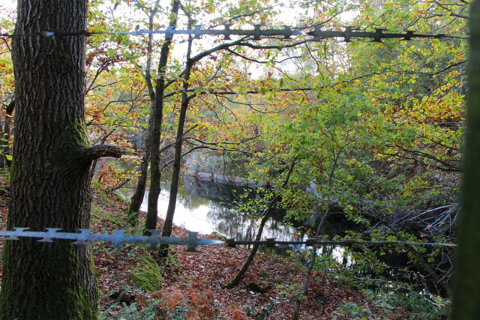 An image depicting the trail Quorn and Woodhouse to Rothley Walk and its surrounding area.