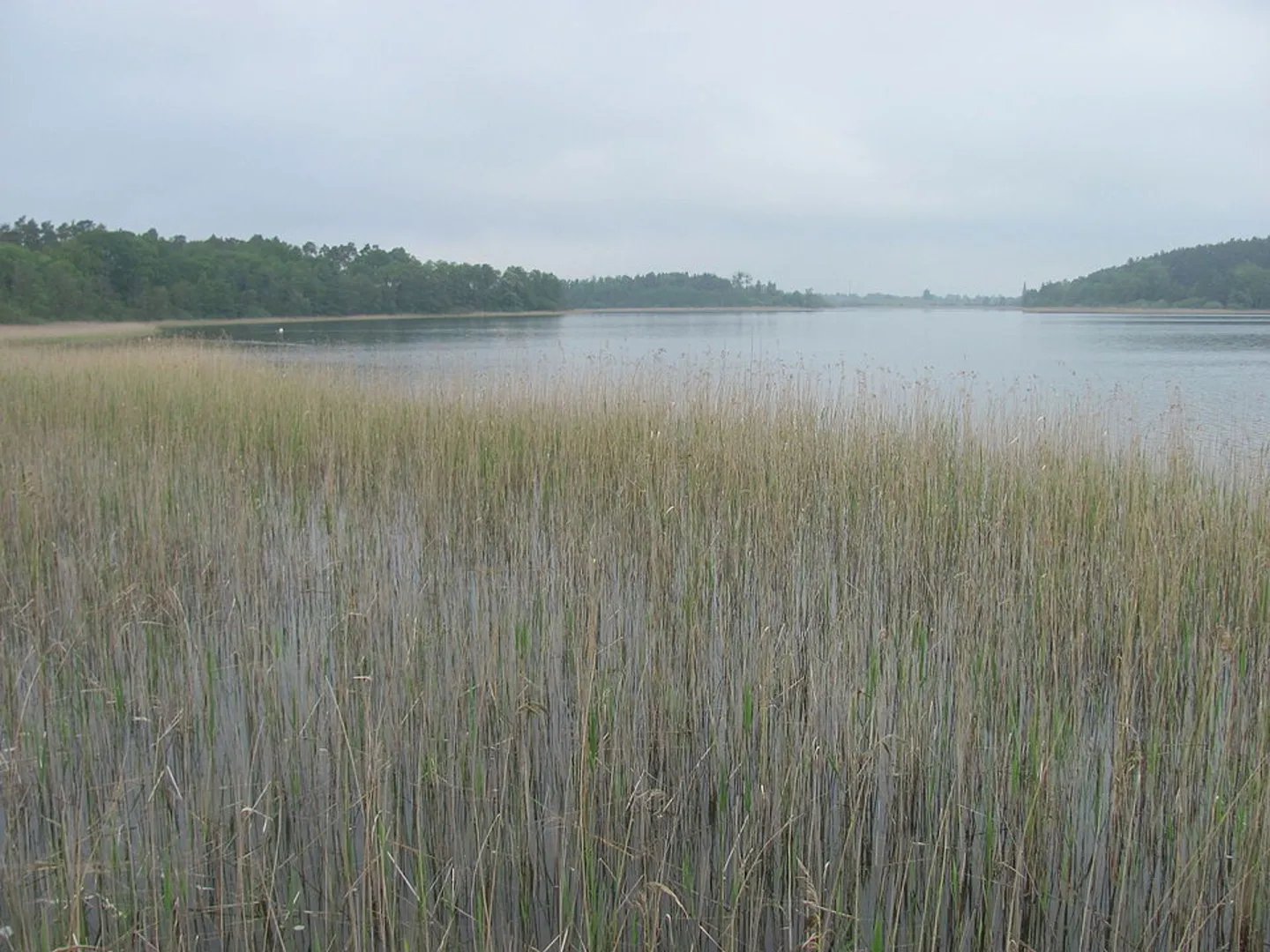 An image depicting the trail Feisnecksee Loop and its surrounding area.