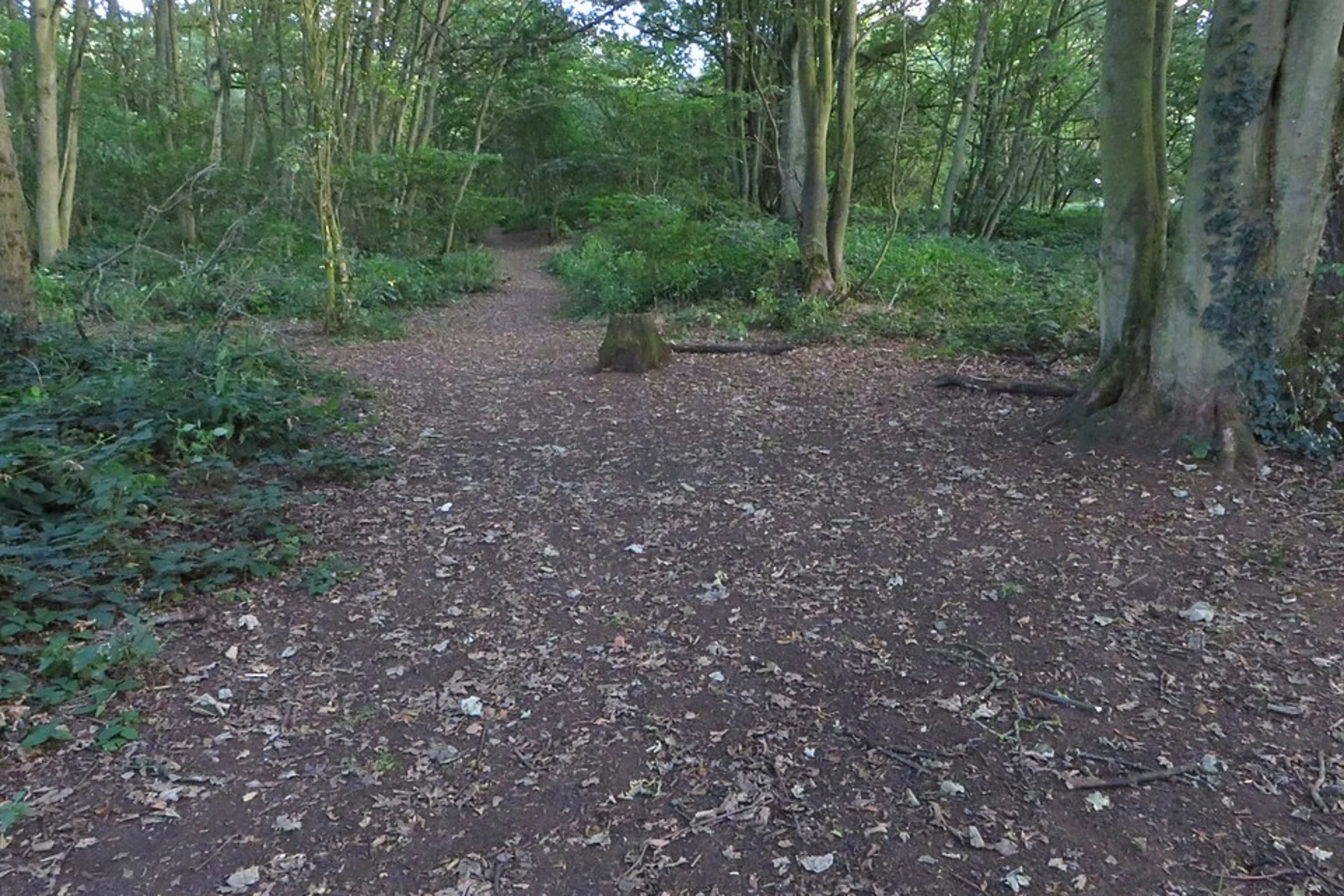 An image depicting the trail Preston Capes Loop and its surrounding area.