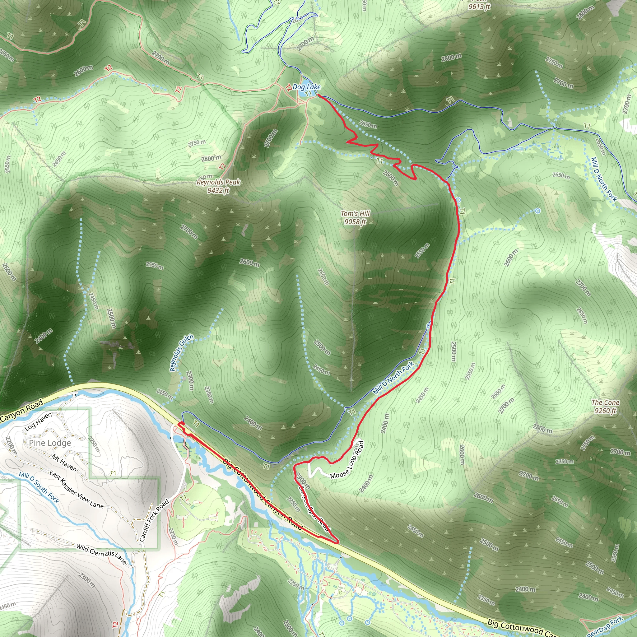 Mill D North Fork Trail to Dog Lake mobile static map