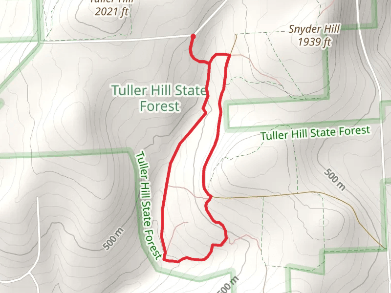 Tuller Hill Forest Loop