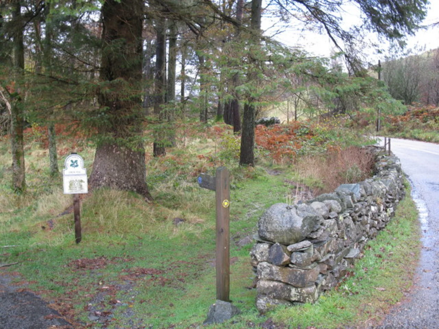 An image depicting the trail Stang End Moss, Tom Heights and Black Fell Loop and its surrounding area.