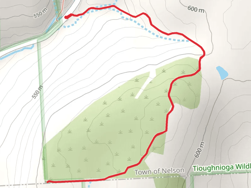 Link Trail