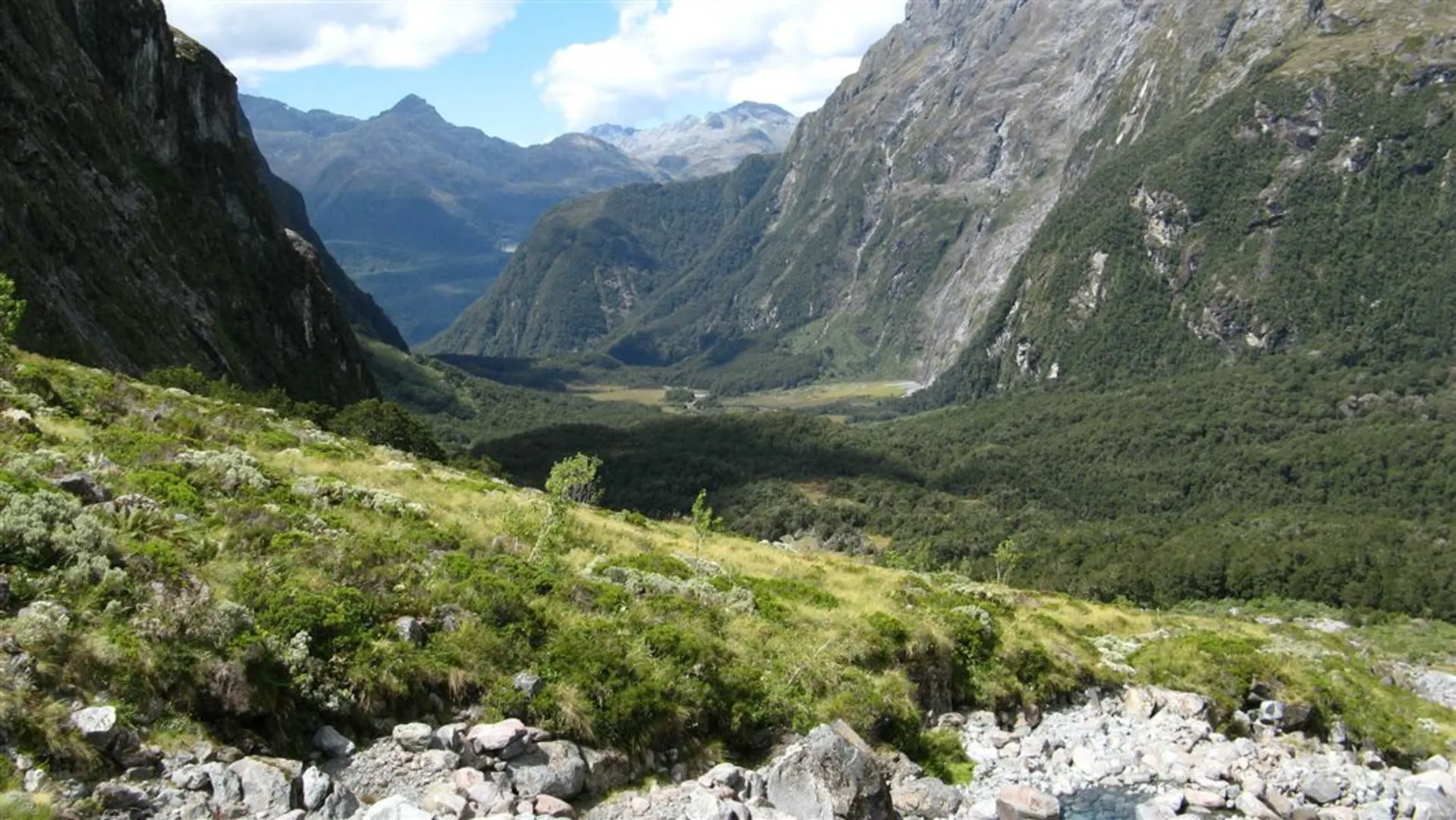 An image depicting the trail Moraine Creek Route and its surrounding area.