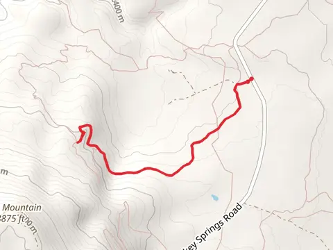 Turkey Springs Bypass Trail via Turkey Springs Trail