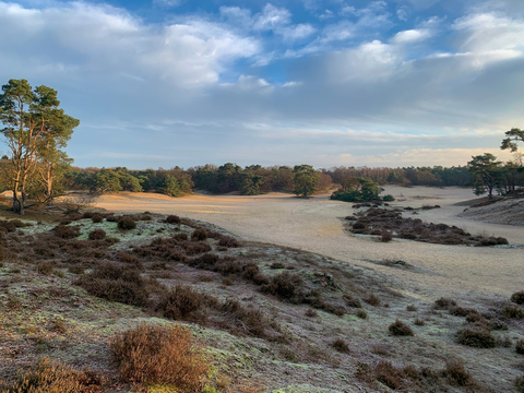 Wieksloterweg Westzijde, Monnikenboschpad, Roosterbosch and Korte Duinen Loop
