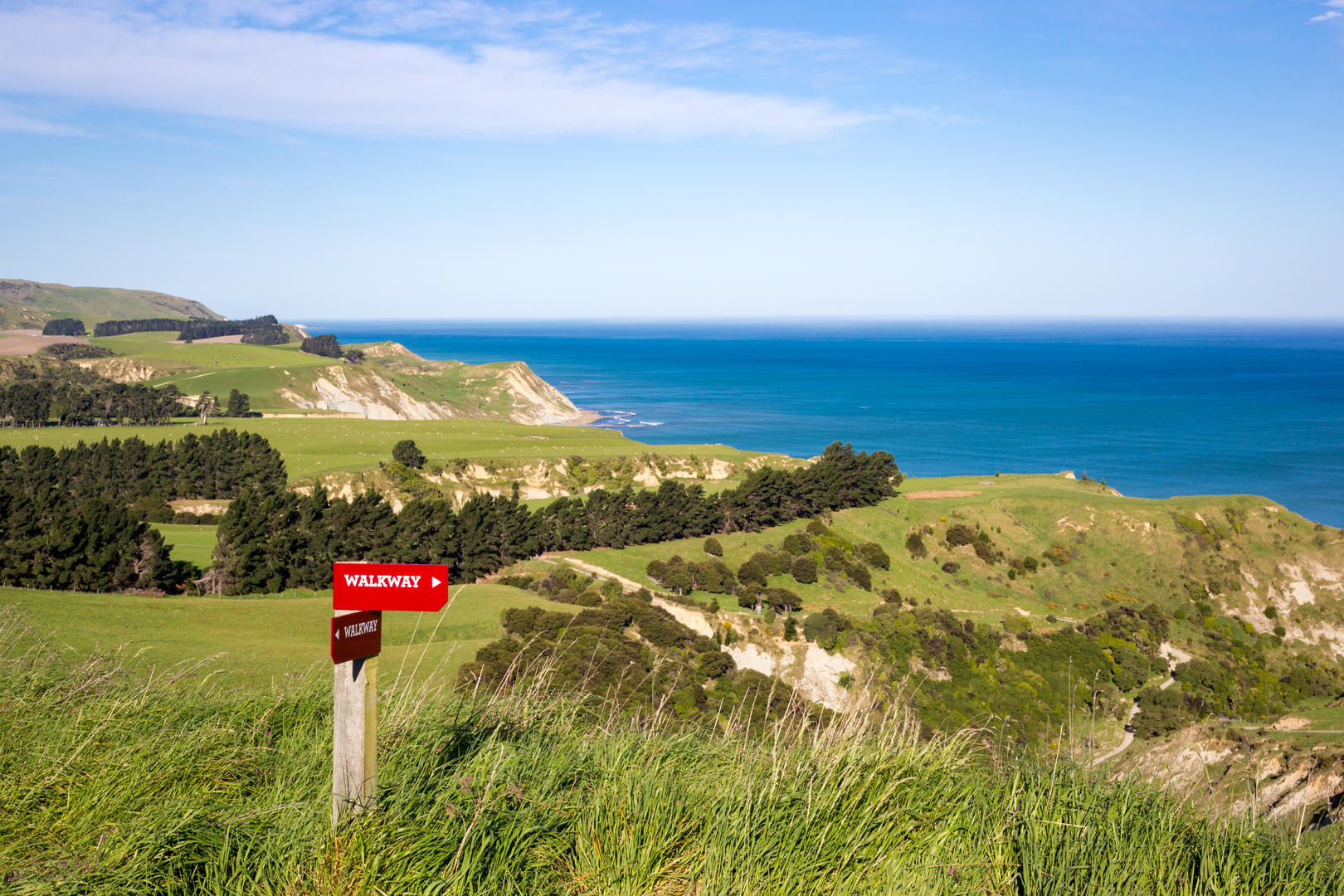 An image depicting the trail Tiromoana Bush Walk and its surrounding area.