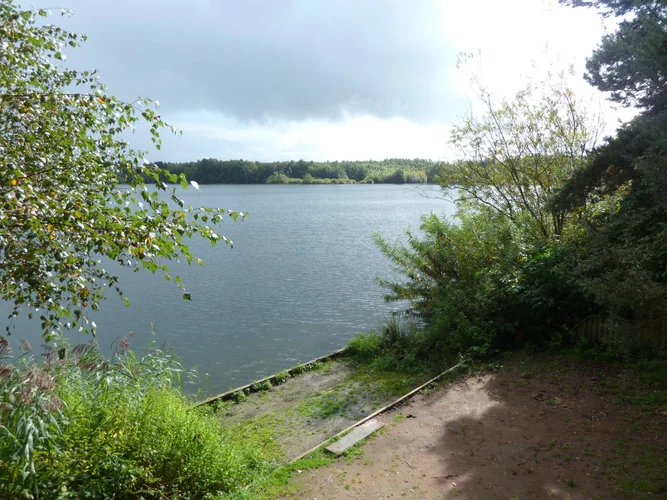 Shemmy Moss and Marton Sands via Whitegate Way