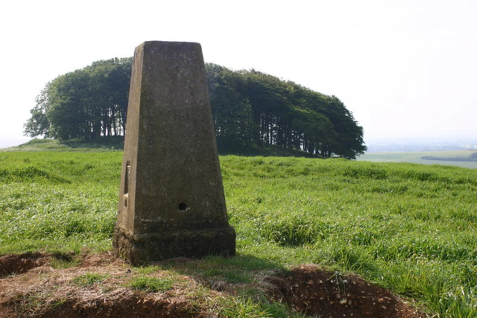 An image depicting the trail New Town and Beckhampton Loop and its surrounding area.