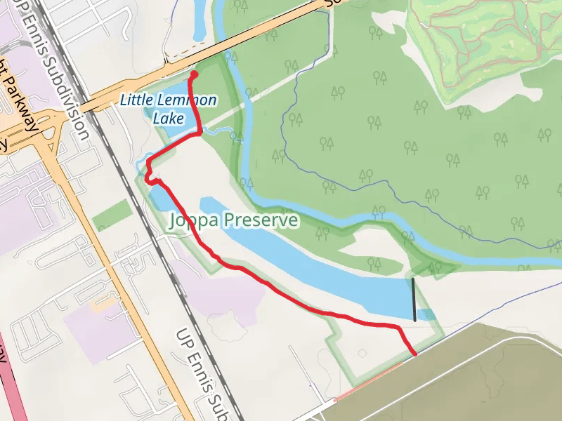 Lemmon Lake and Trinity Forest Trail
