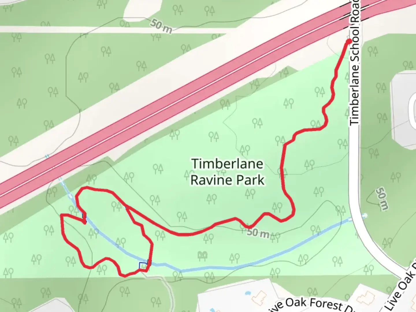 Timberlane Ravine Park Loop | Leon County | Florida