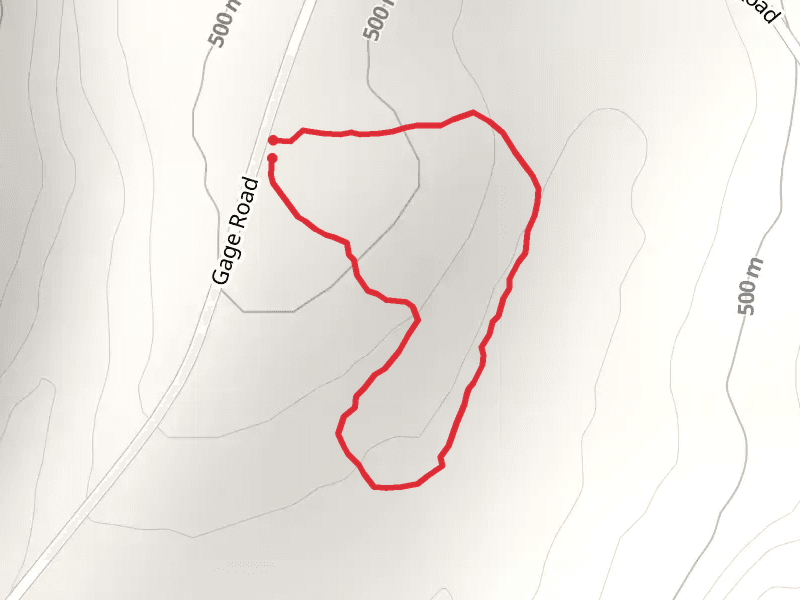Gage Road Loop
