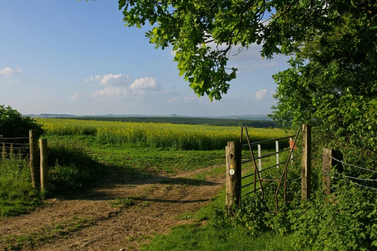 Tan Hill Way
