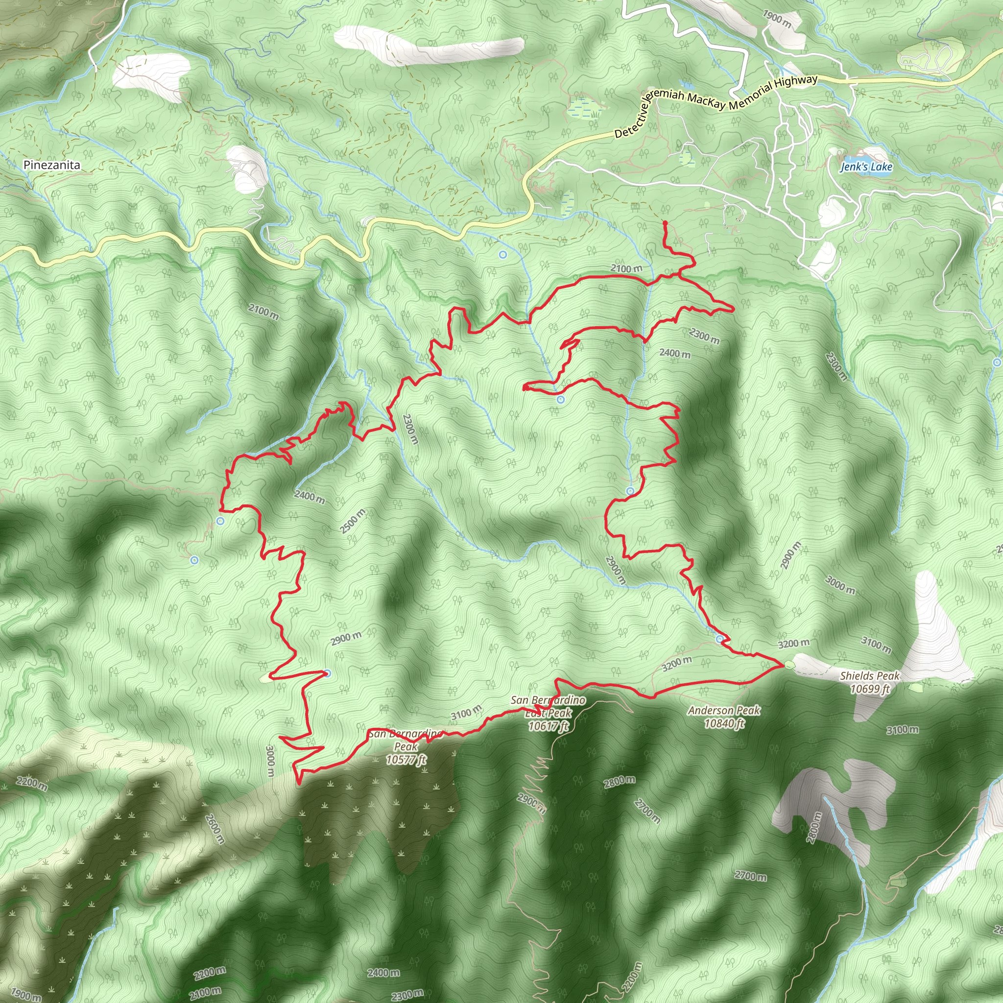 Forsee Creek, San Bernardino and Forsee Basin Loop Trail mobile static map