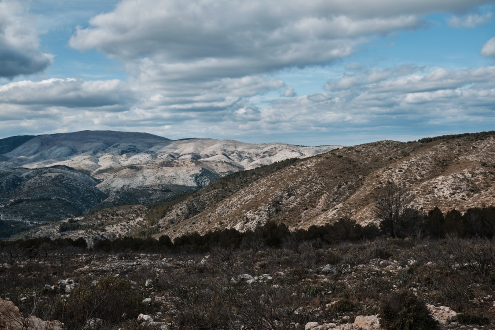 An image depicting the trail Benimassot – Malafí Ravine – Castell de Castells - Benimassot PR CV 168 and its surrounding area.