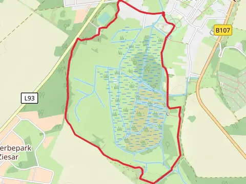 Ziesar Loop via Naturparkrundwanderweg 51 Alte See