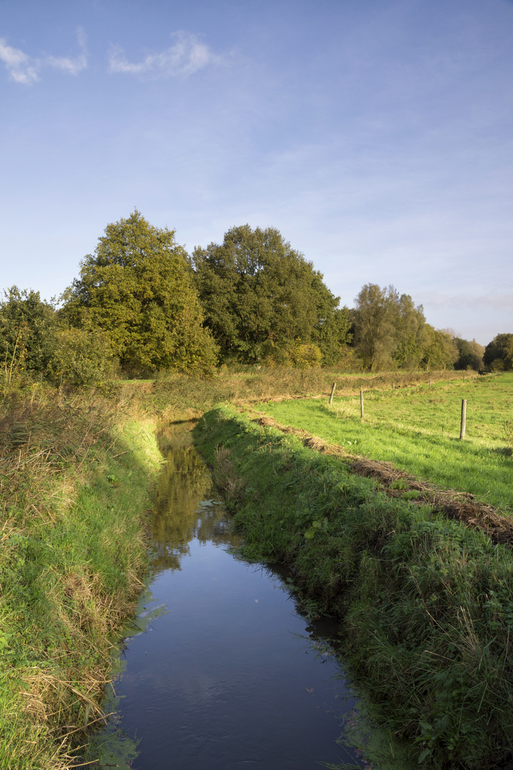 An image depicting the trail Dal van de Beerze Loop and its surrounding area.